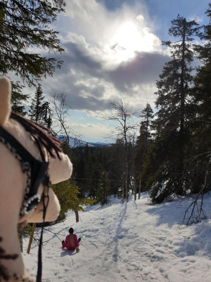 Rukavalley Unique47 Ski In - Ski Out エクステリア 写真